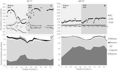 Product Inhibition and pH Affect Stoichiometry and Kinetics of Chain Elongating Microbial Communities in Sequencing Batch Bioreactors